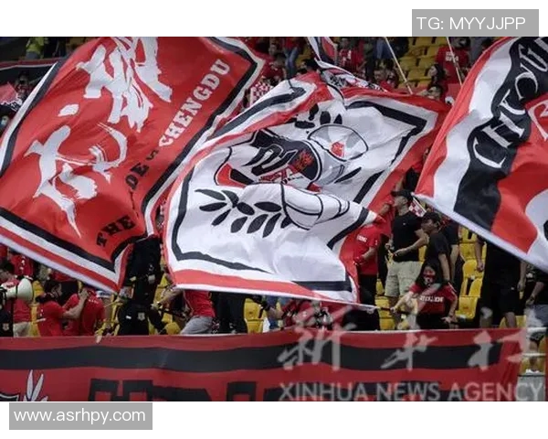 北京人和迎战成都兴城争夺中甲联赛关键三分全力以赴展现球队实力