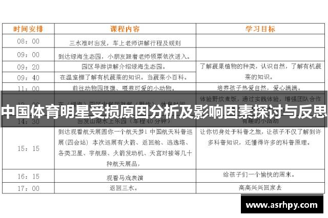 中国体育明星受损原因分析及影响因素探讨与反思
